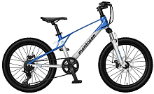 Детский велосипед Montasen MB10-20SB (2026) серый