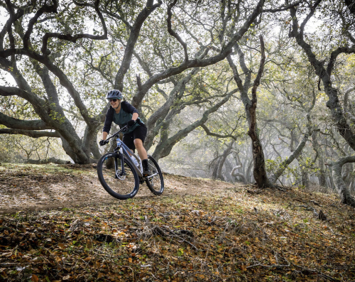 Велосипед Marin Wildcat Trail 1 27.5 (2023) красный