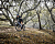Велосипед Marin Wildcat Trail 1 27.5 (2023) красный